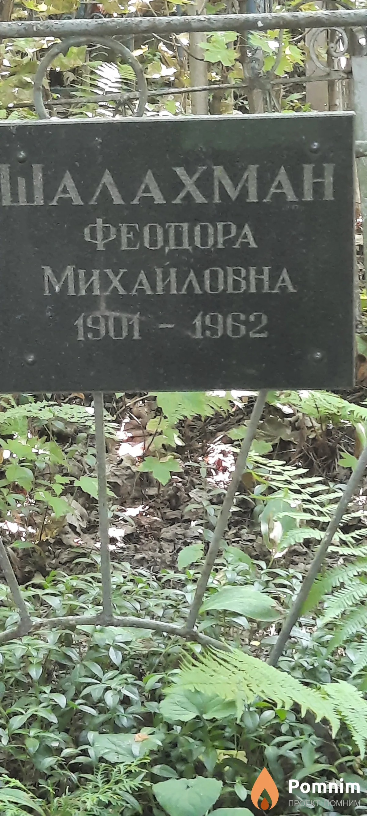 Шалахман Феодора Михайловна