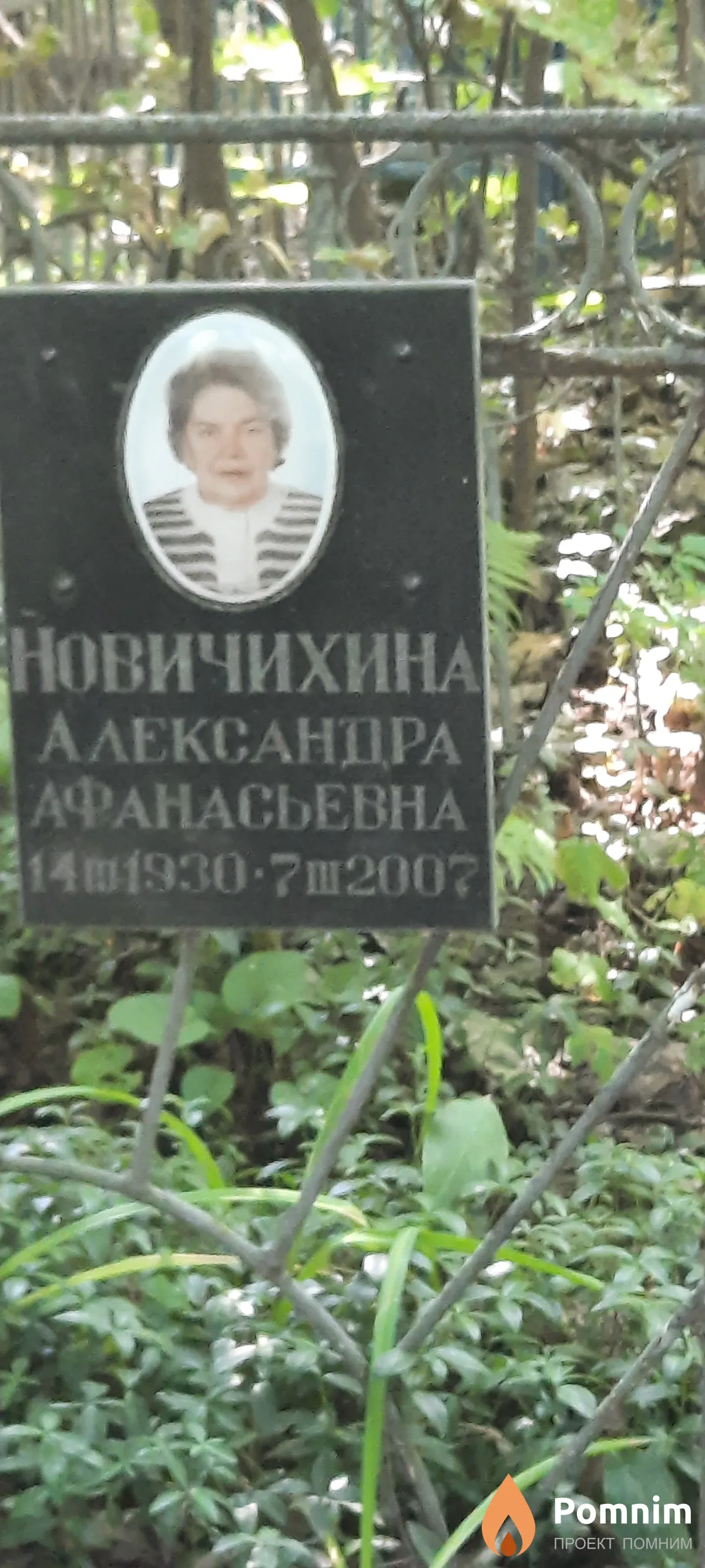 Новичихина Александра Афанасьевна