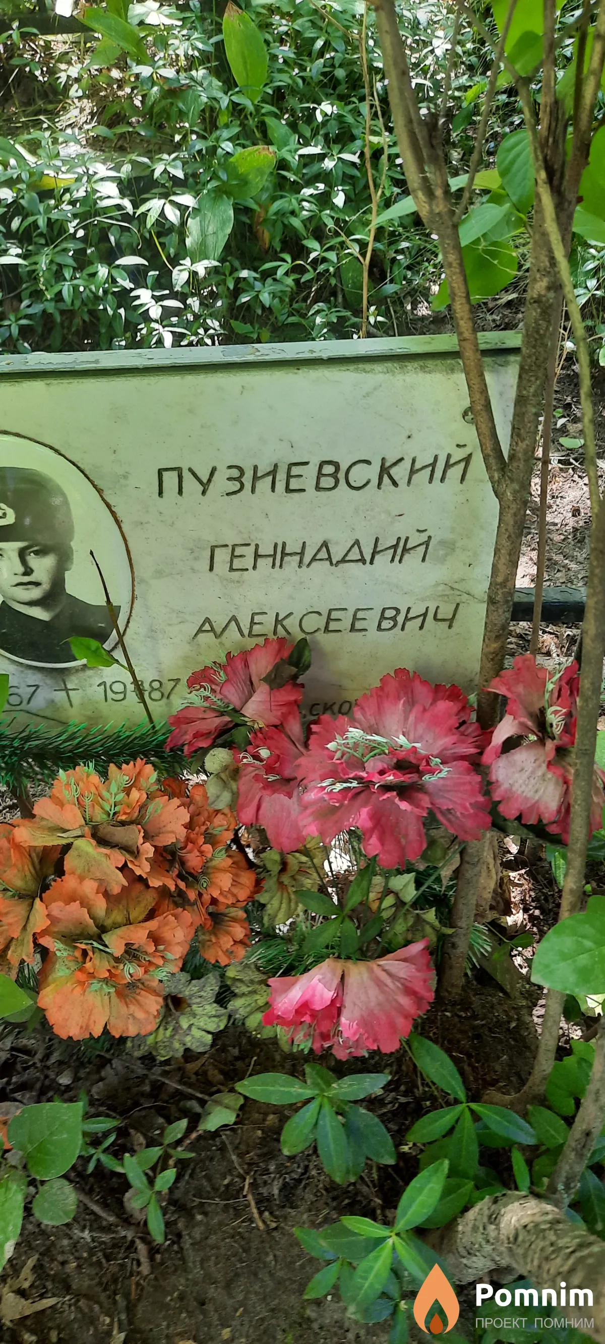 Пузиевский Геннадий Алексеевич