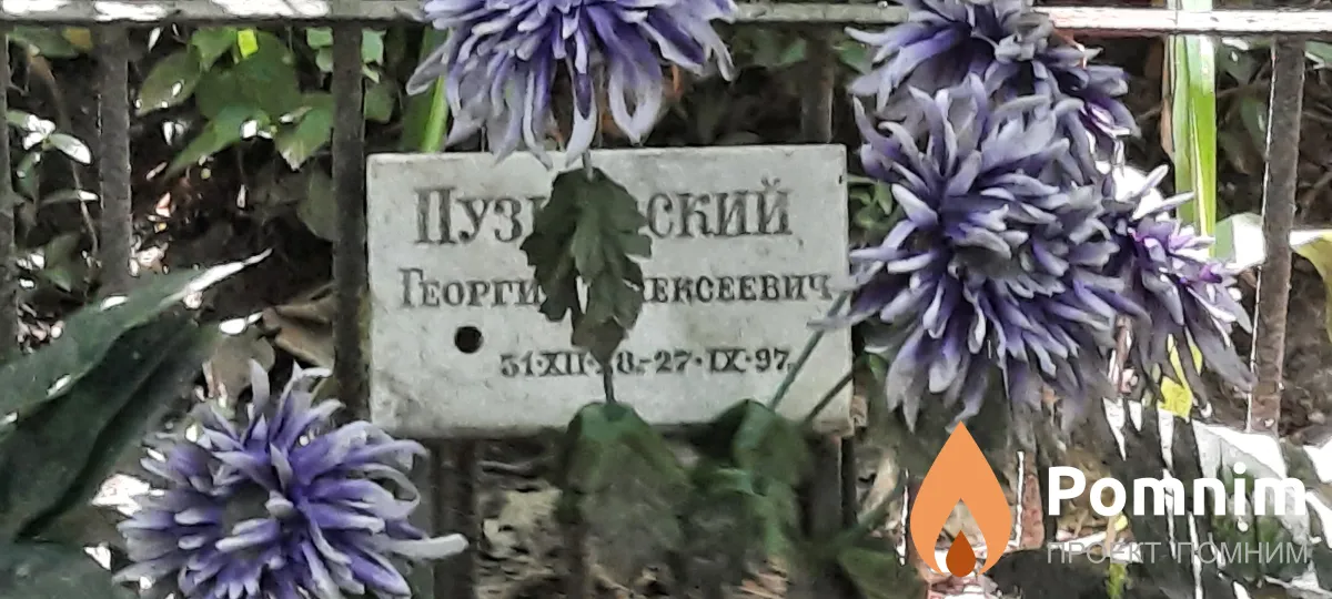Пузиевский Георгий Алексеевич