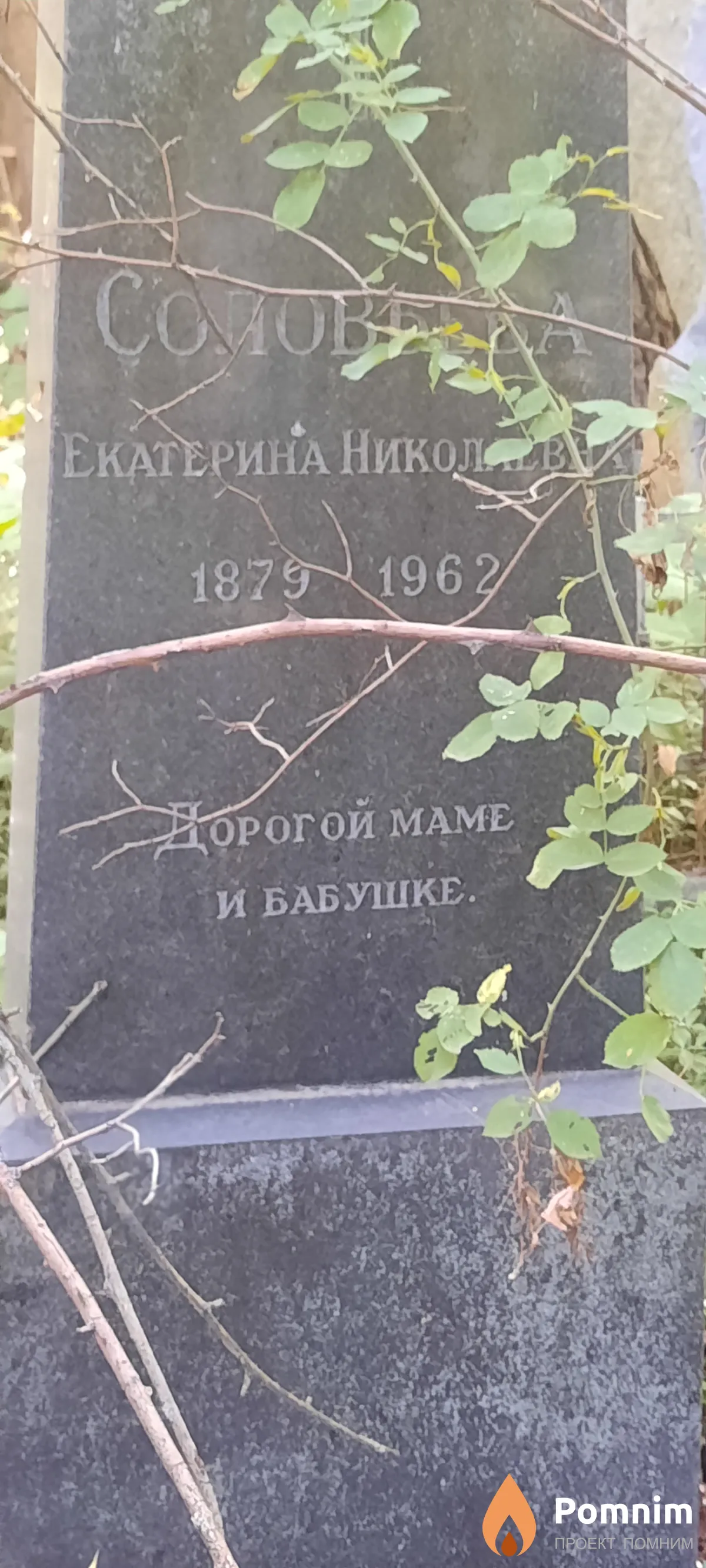 Соловьева Екатерина Николаевна