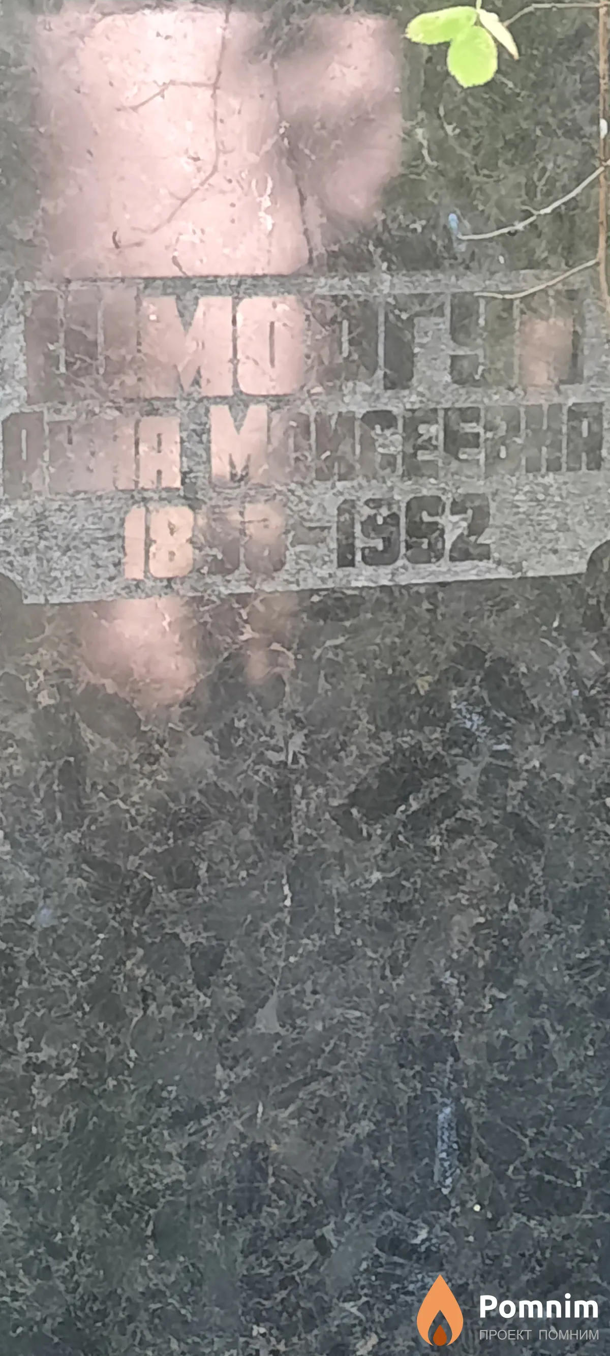 Шморгун Анна Моисеевна