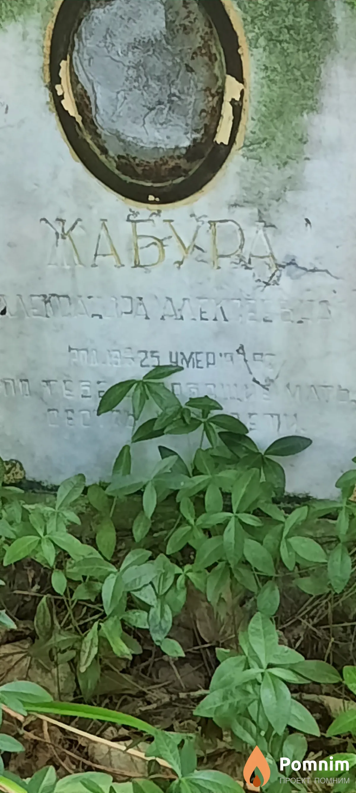 Жубара А А