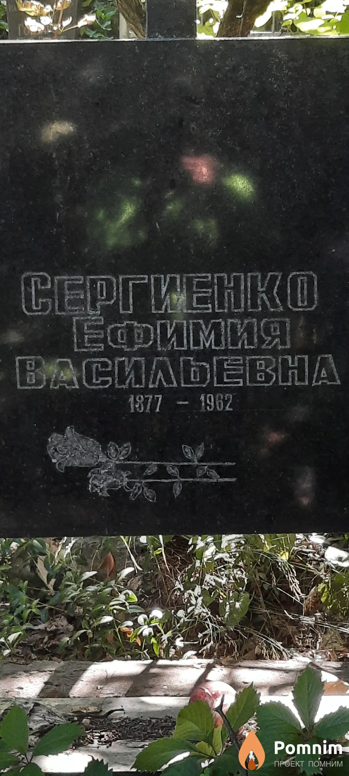 Сергиенко Ефимия Васильевна