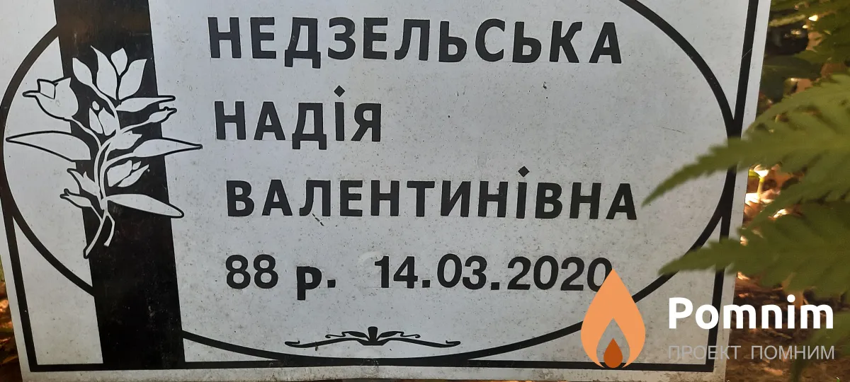 Надзельська Надія Валентинівна