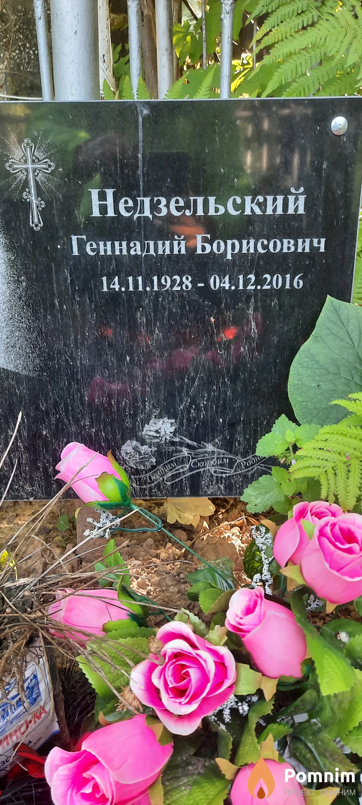 Недзельский Геннадий Борисович