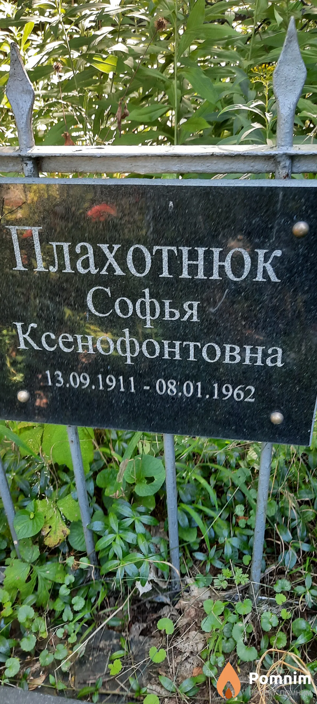 Плахотнюк Софья Ксенофонтовна
