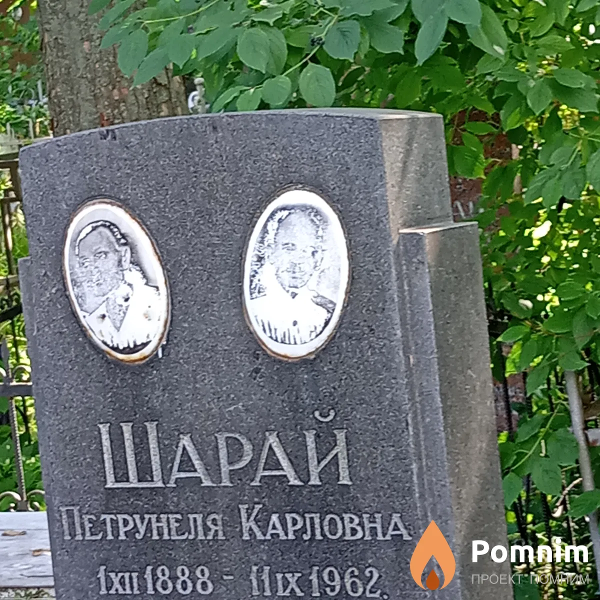 Шарай Петрунеля Карловна