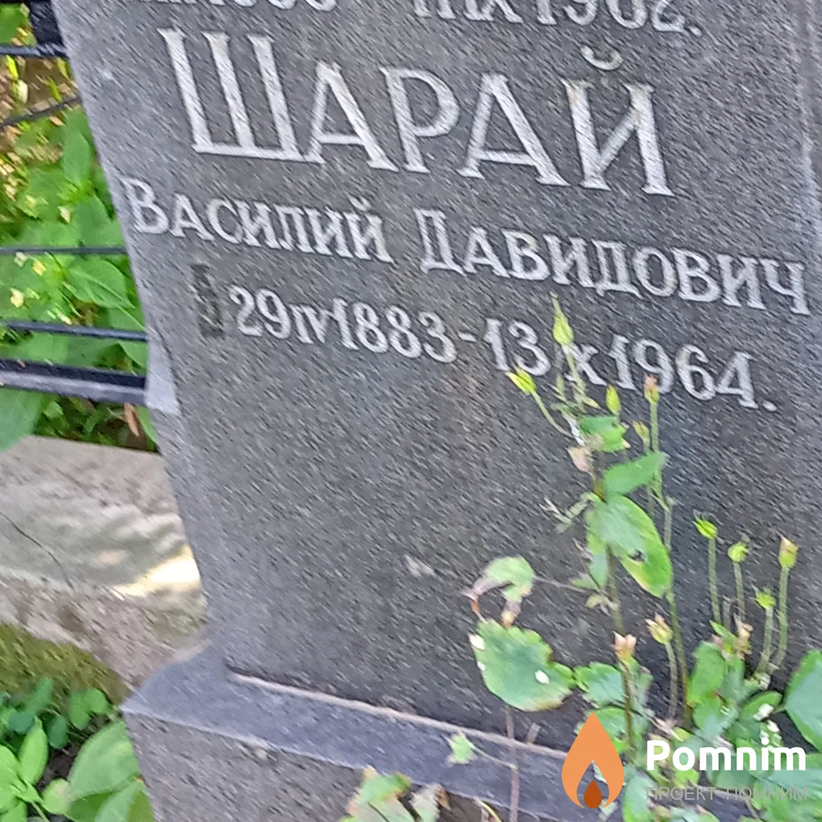 Шарай Василий Давидович