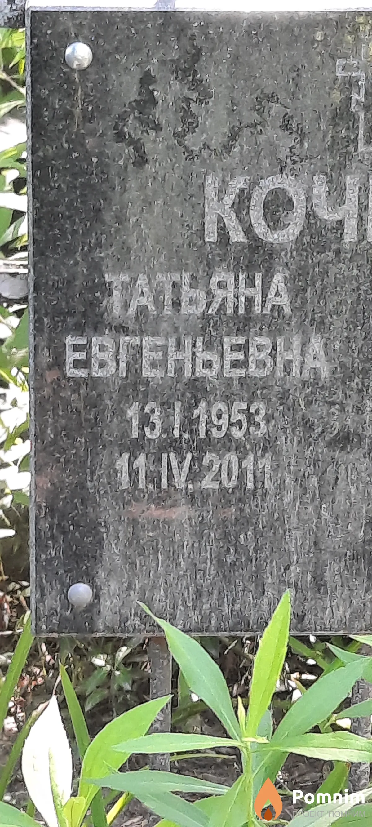 Кочина Татьяна Евгенивна