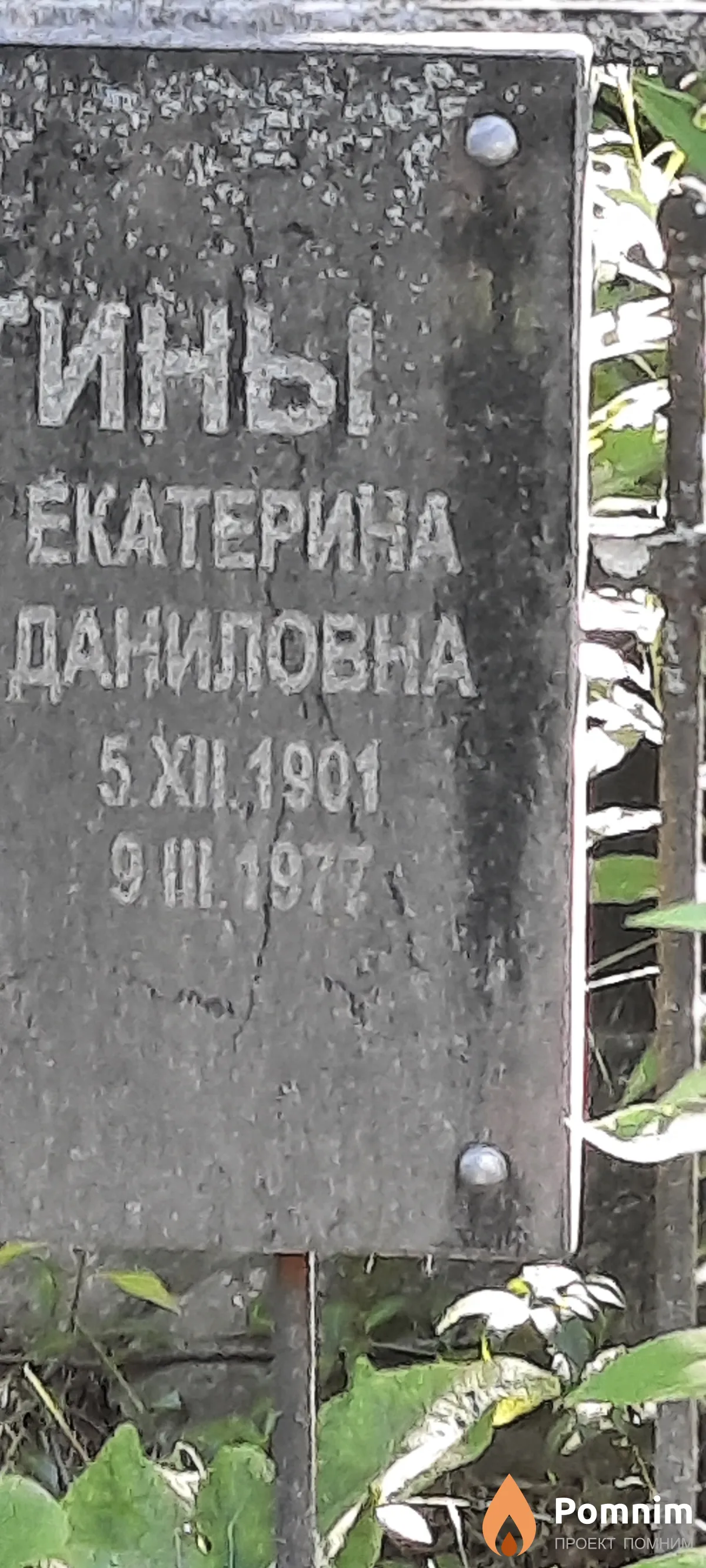 Пичугина Екатерина Даниловна