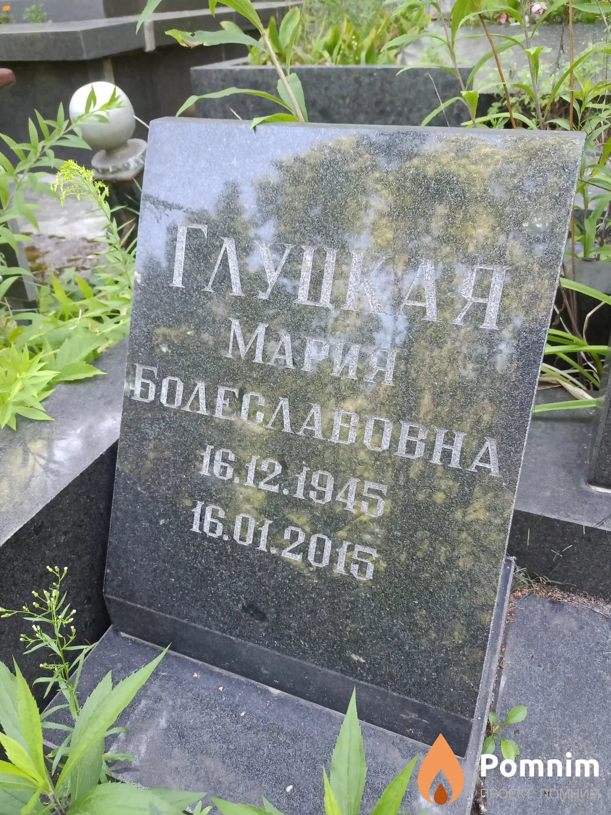 Глуцкая Мария Болеславовна