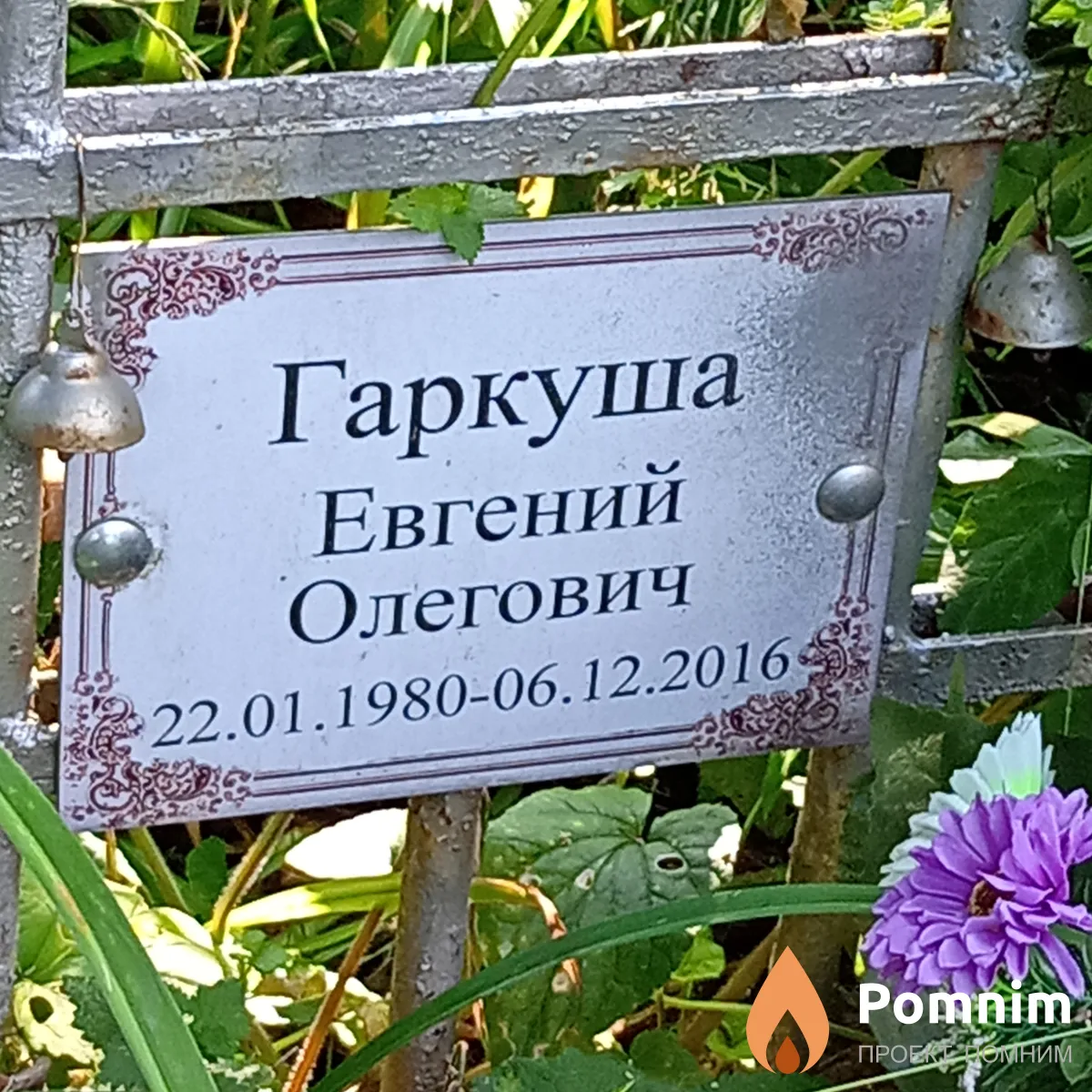 Гаркуша Евгений Олегович