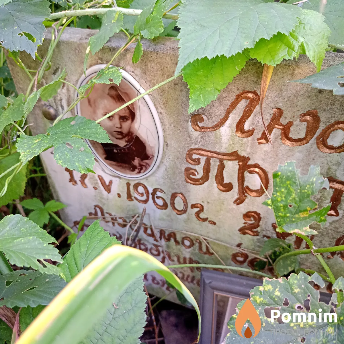 Притула Людмила