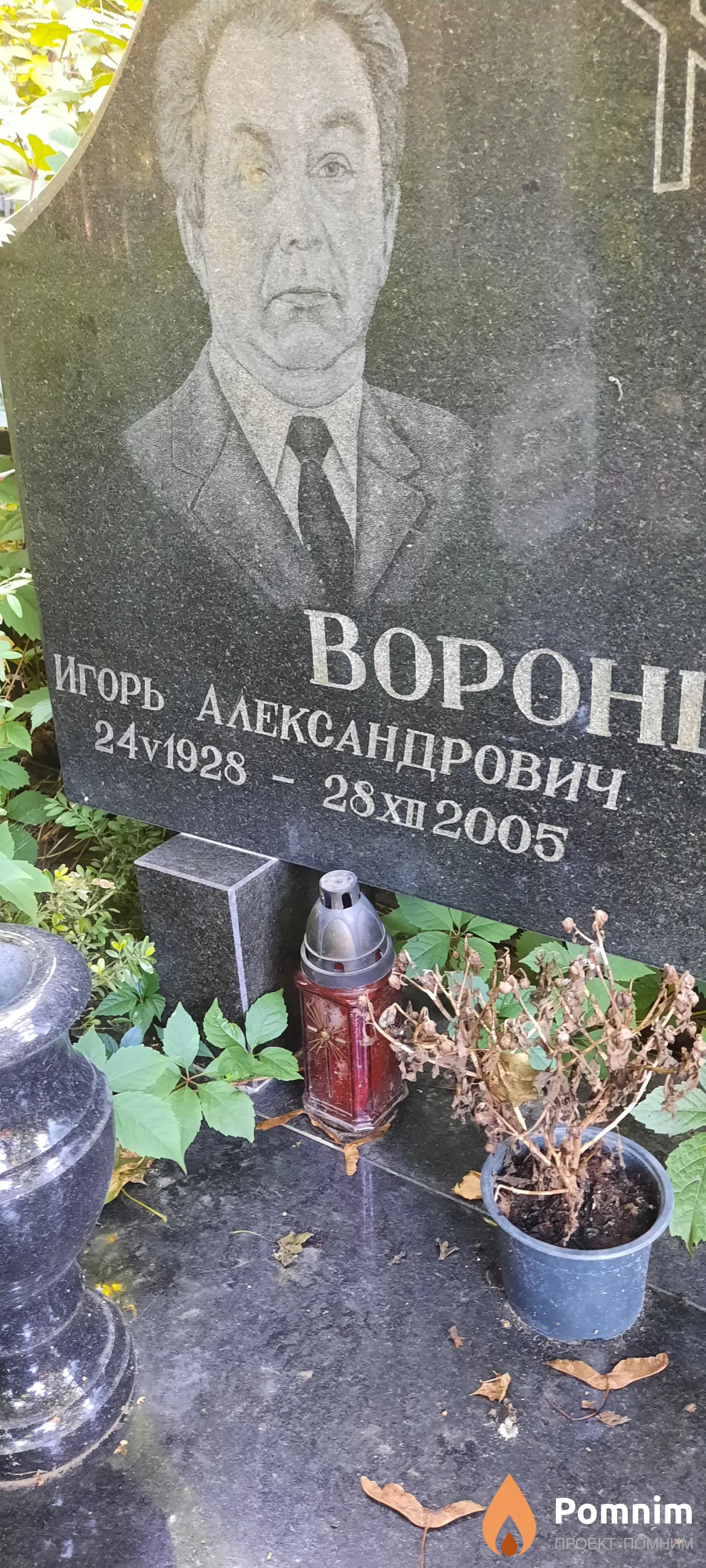 Воронцов Игорь Александрович
