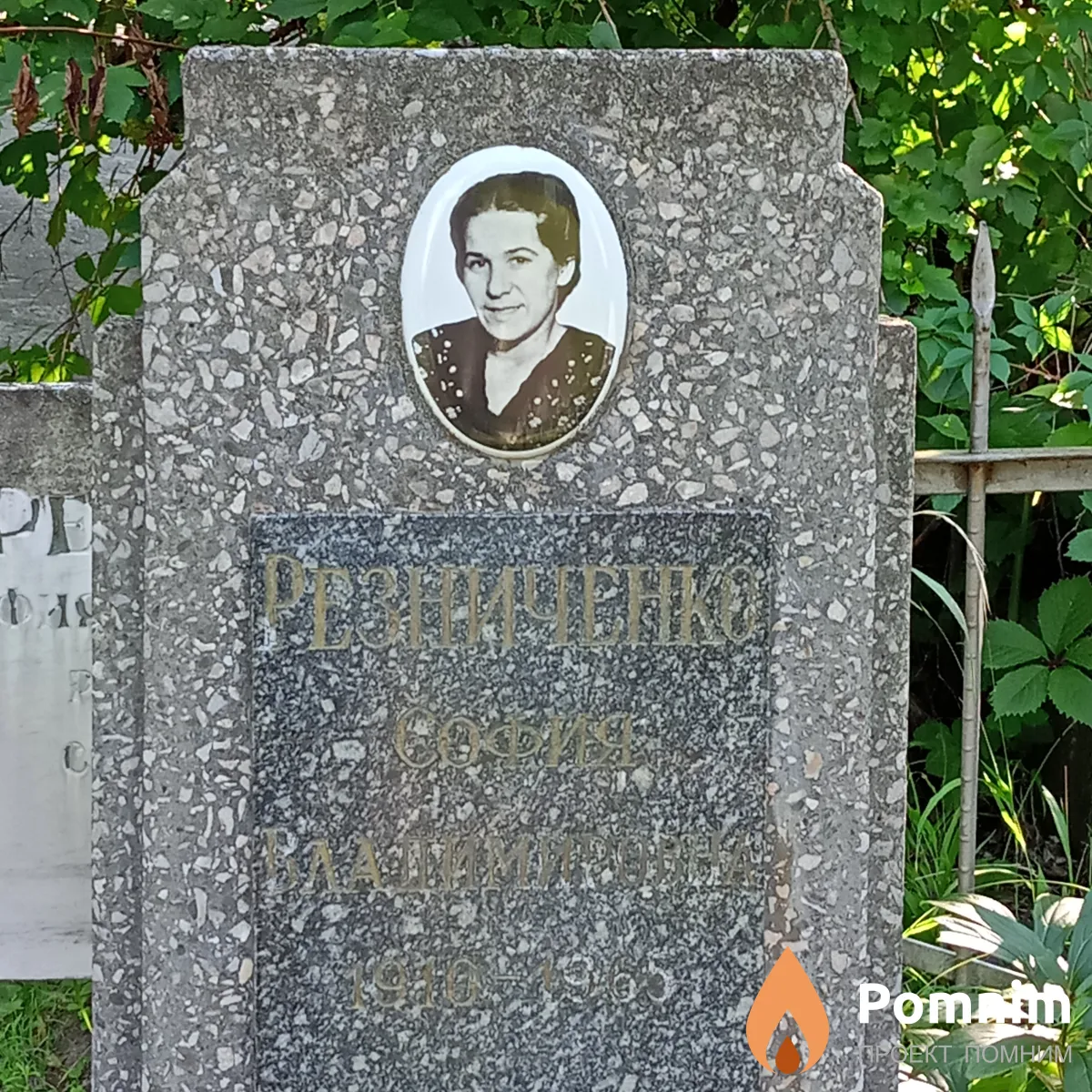 Резниченко София Владимировна