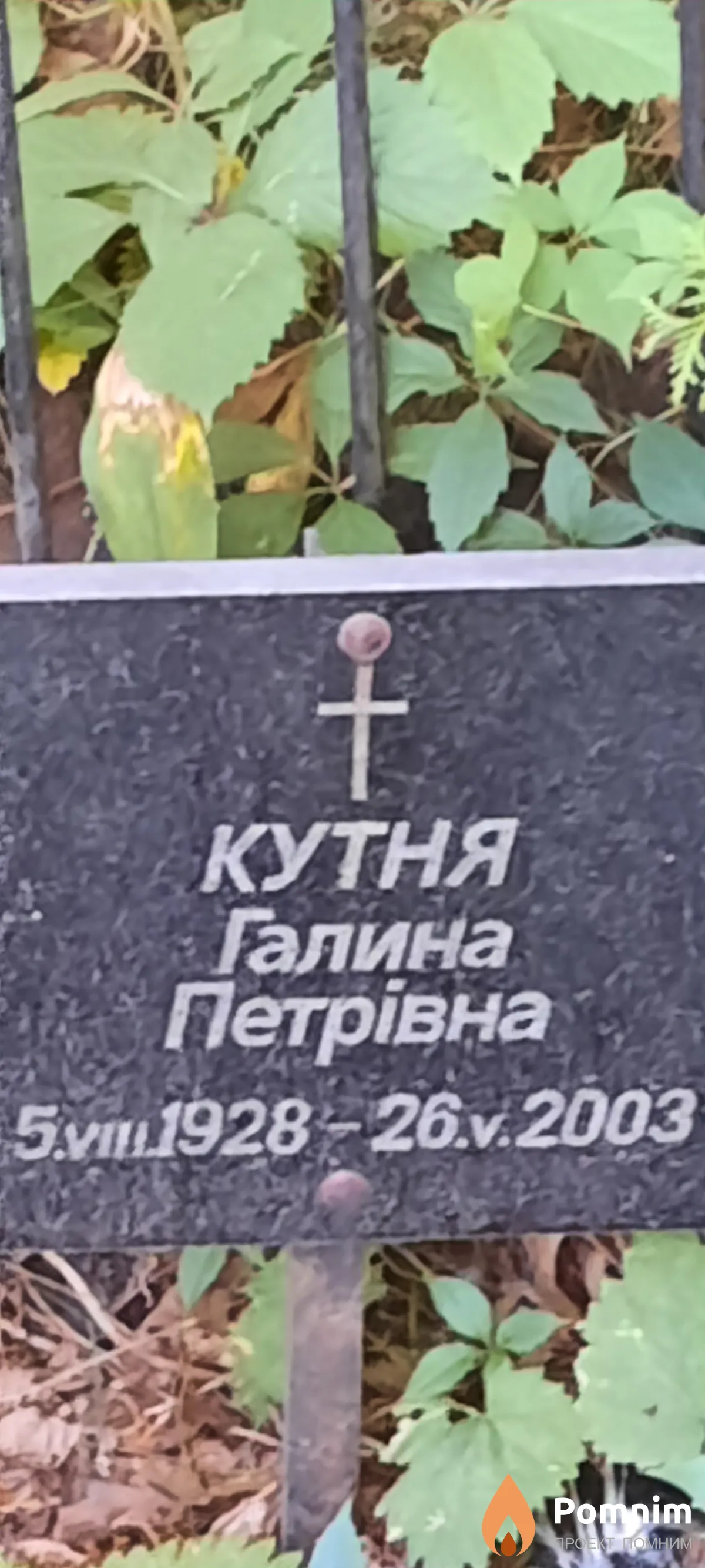 Кутня Галина Петрівна