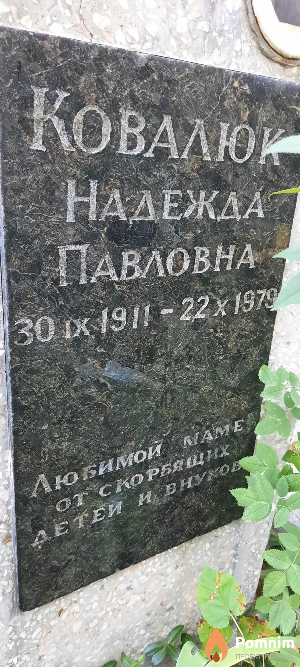 Ковалюк Надежда Павловна