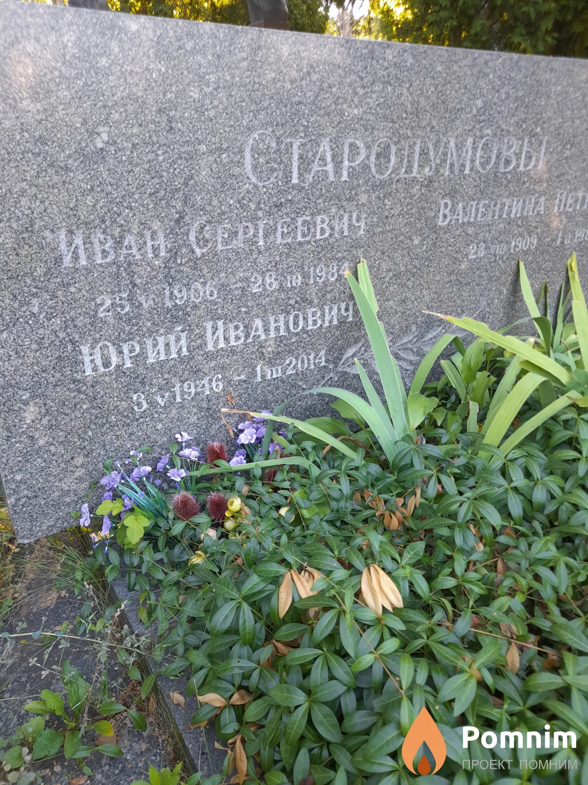 Стародумов Иван Сергеевич