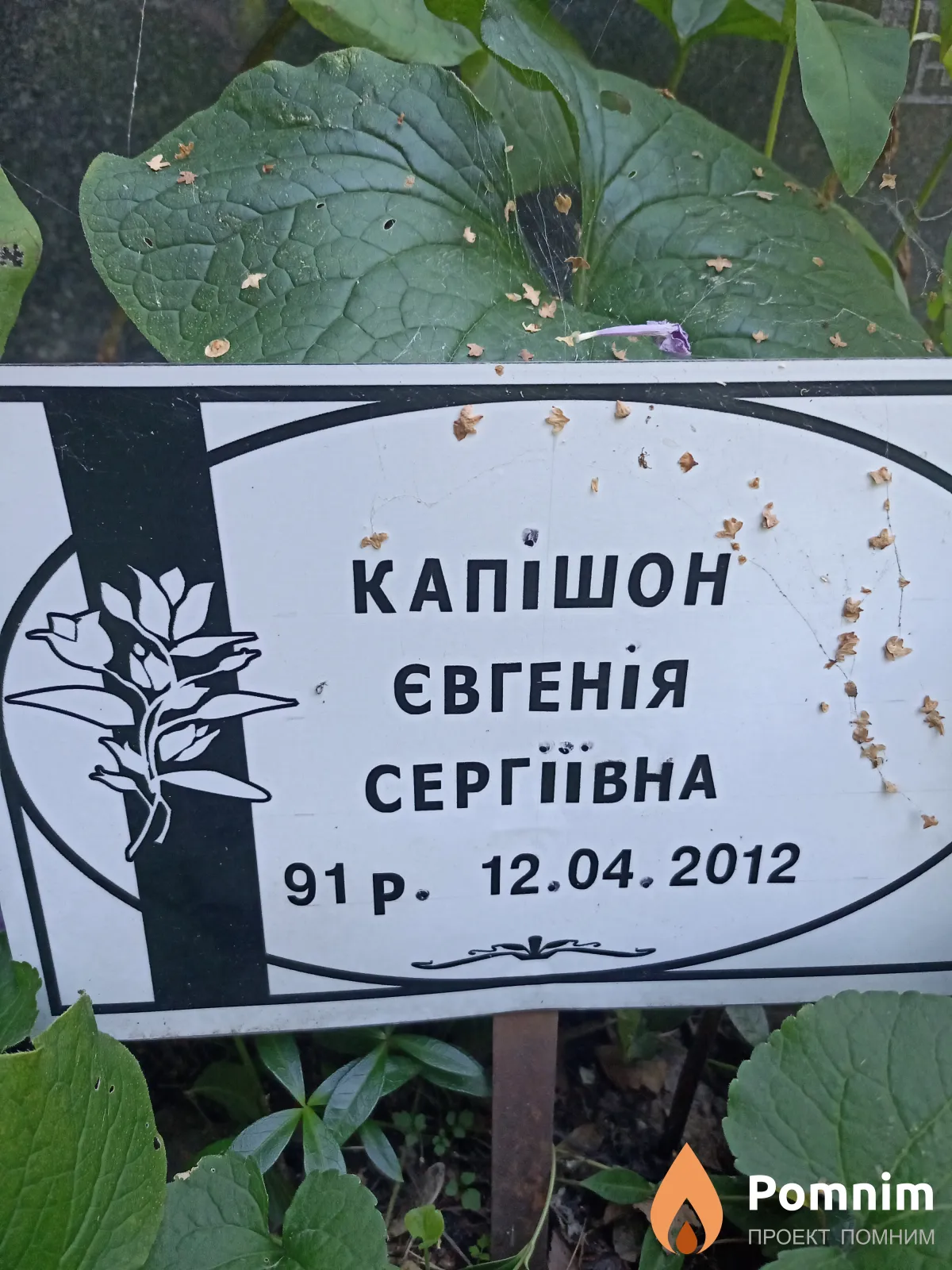 Капішон Євгенія Сергіївна