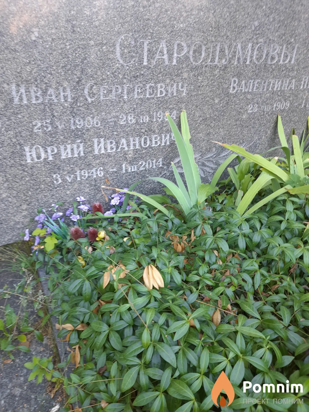 Стародумов Юрий Иванович