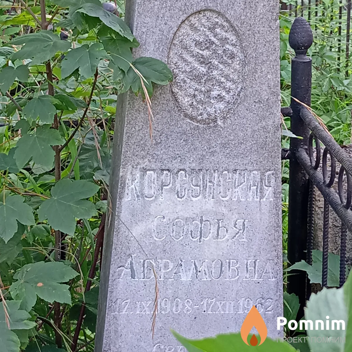 Корсунская Софья Абрамовна