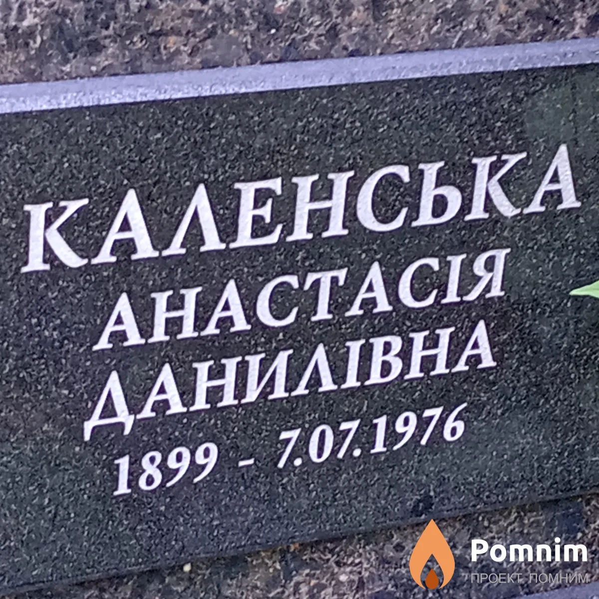 Каленская Анастасия Данииловна