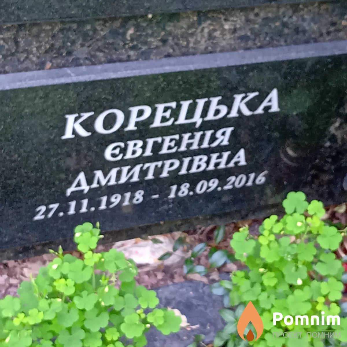 Корецька Євгенія Дмитрівна