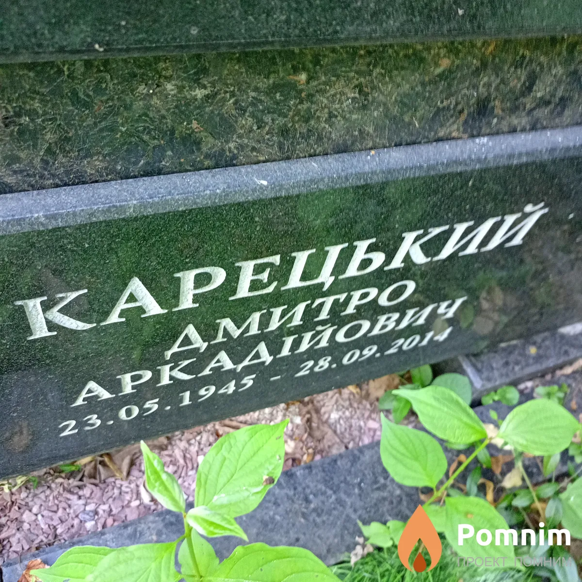 Карецкий Дмитрий Аркадиевич