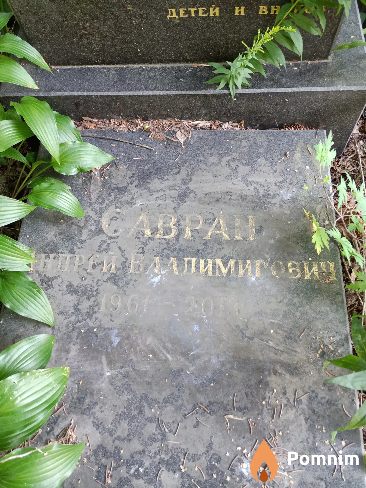 Савран Андрей Владимирович
