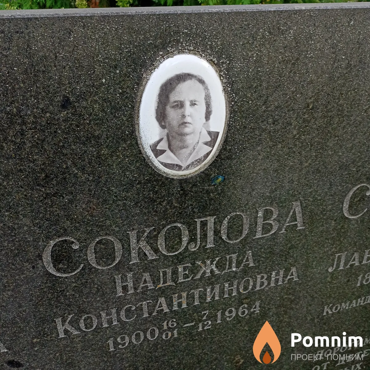 Соколова Надежда Константиновна