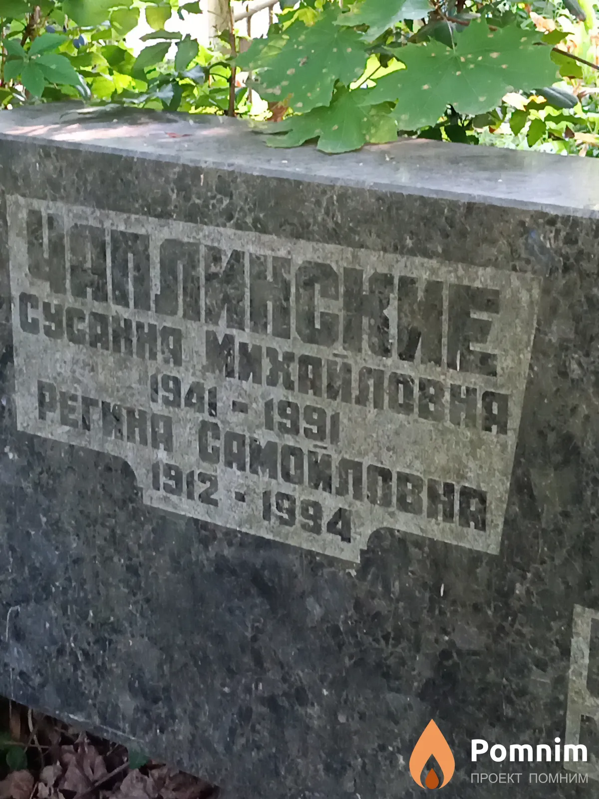 Чаплинская Регина Самойловна
