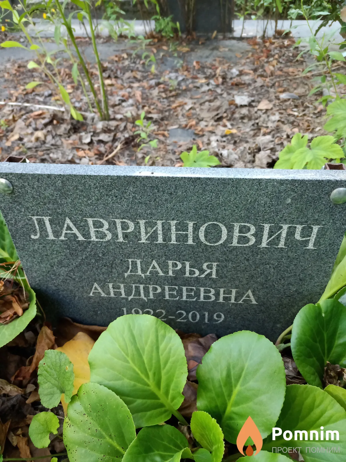 Лавринович Дарья Андреевна