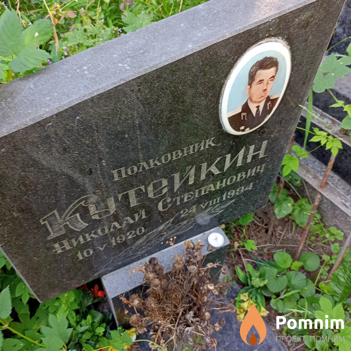 Кутейник Николай Степанович