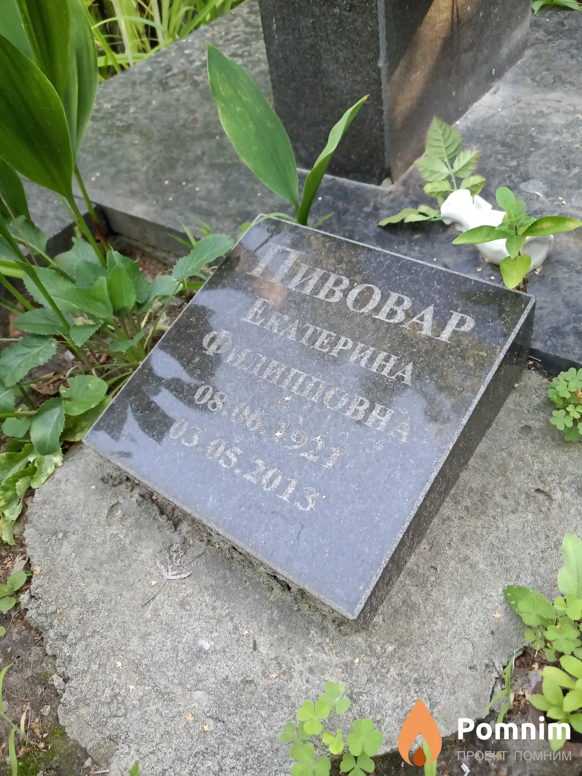 Пивовар Екатерина Филипповна