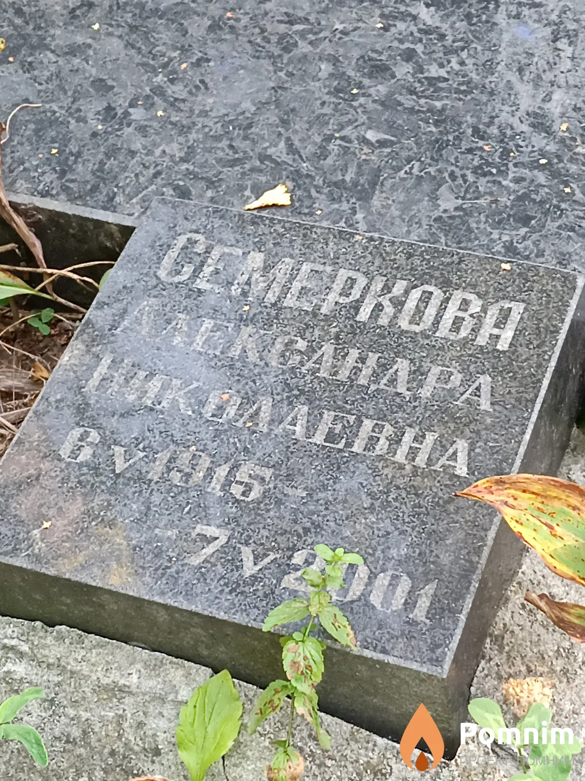 Семеркова Александра Николаевна