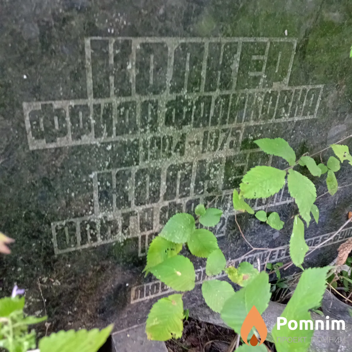 Колкер Фрида Фаликовна