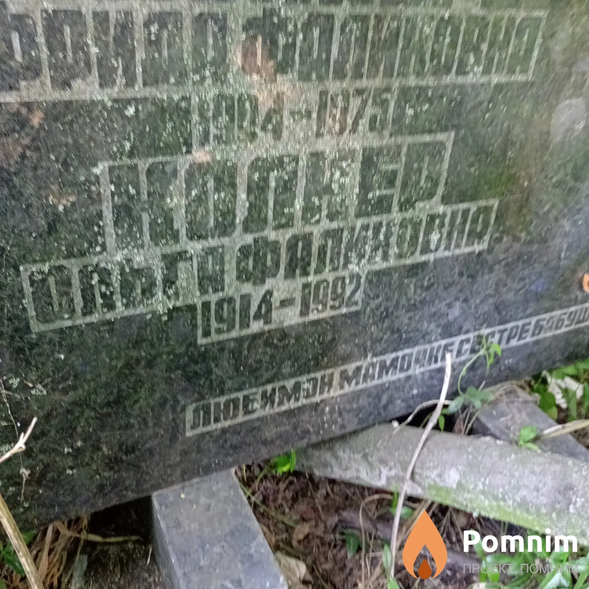 Колкер Ольга Фаликовна