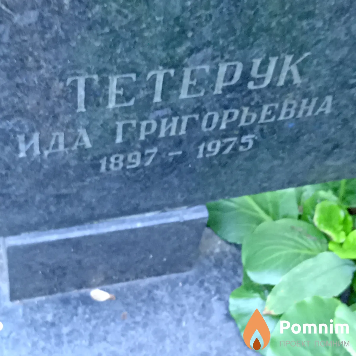 Тетерук Ида Григориевна