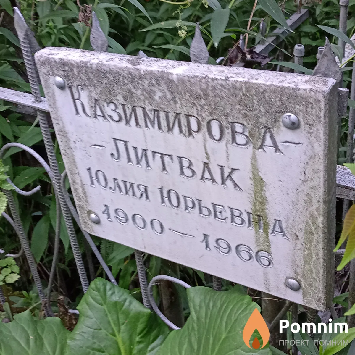 Казимирова-Литвак Юлия Юрьевна