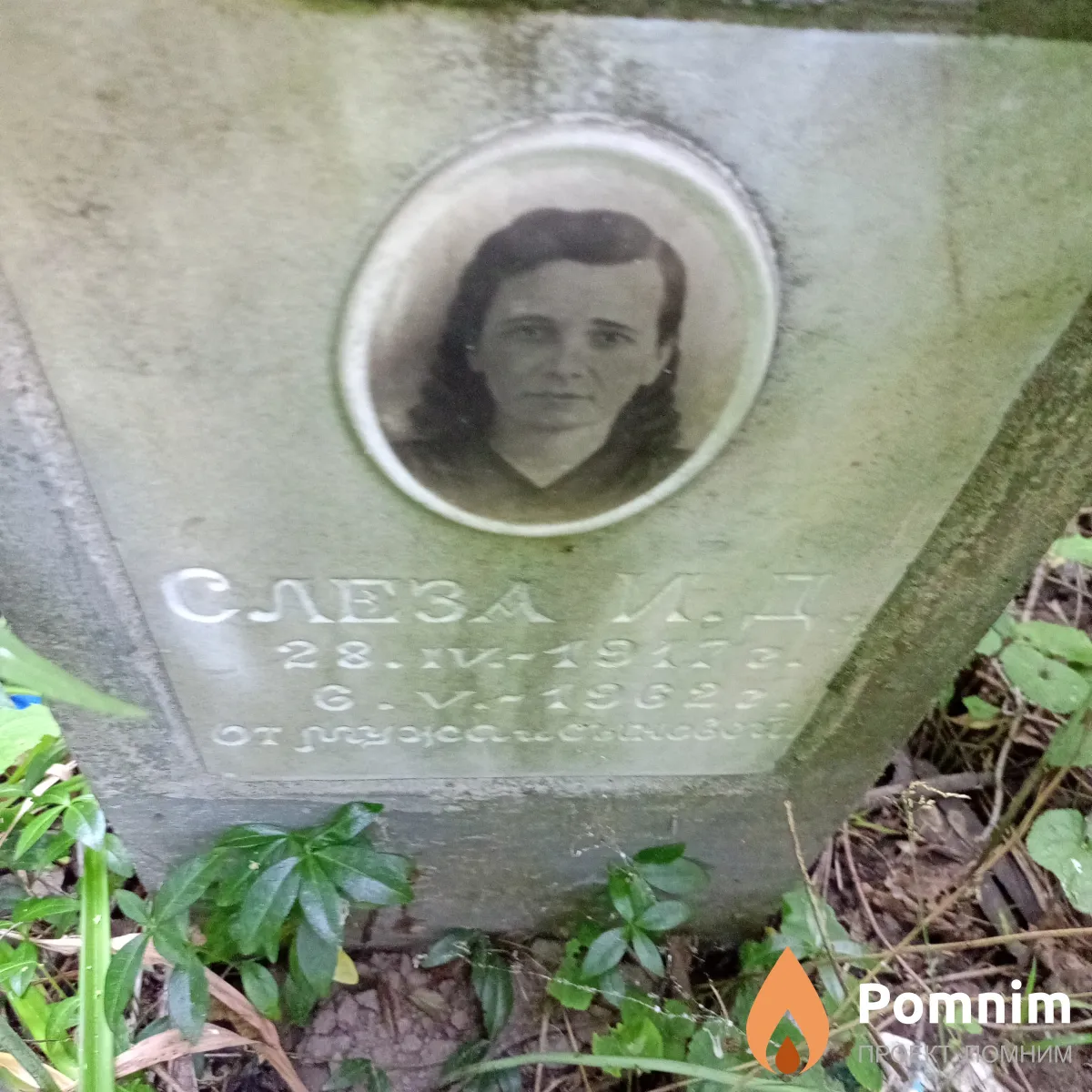 Слеза И Д