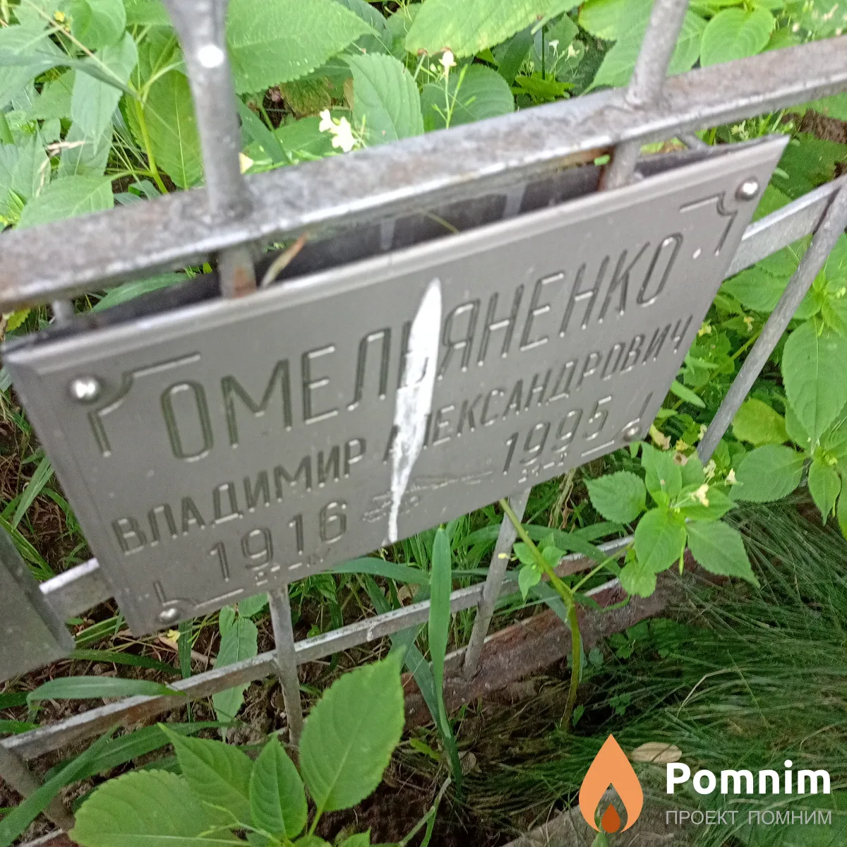 Омельяненко Владимир Александрович