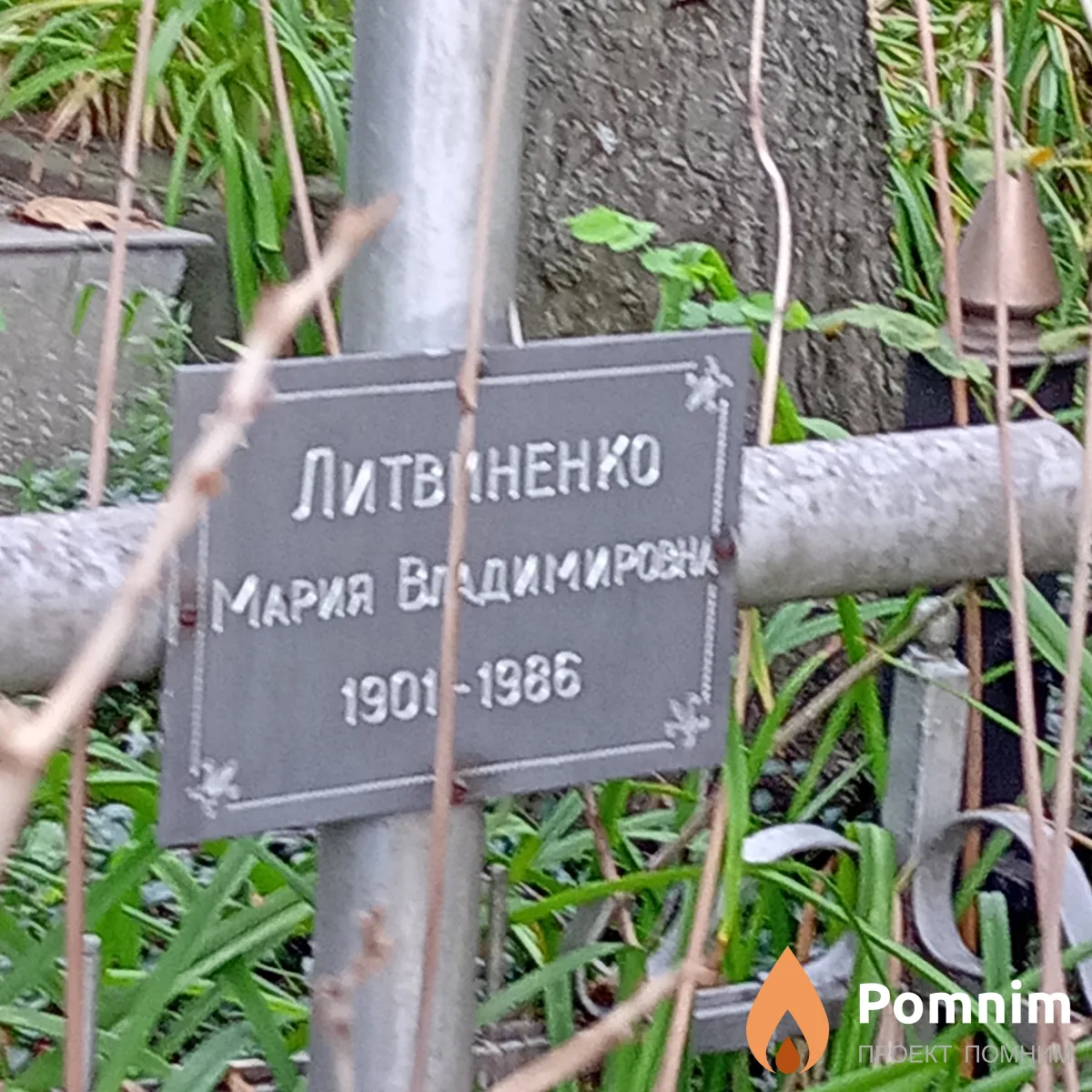 Литвиненко Мария Владимировна