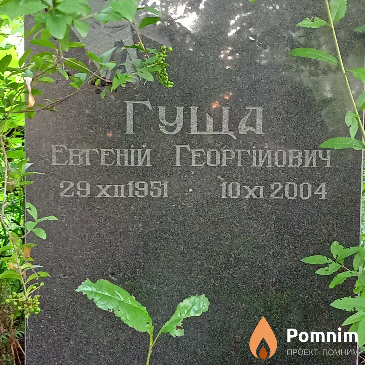 Гуща Евгений Георгиевич