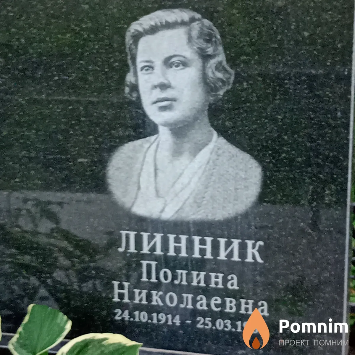 Линник Полина Николаевна