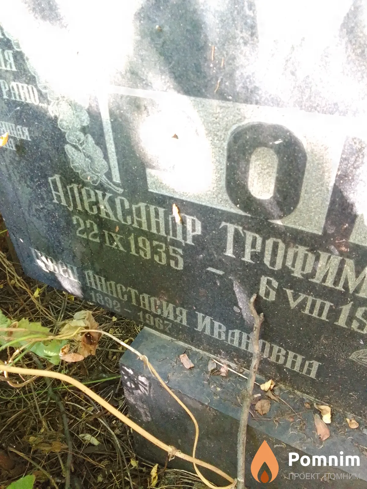 Швеп Анастасия Ивановна