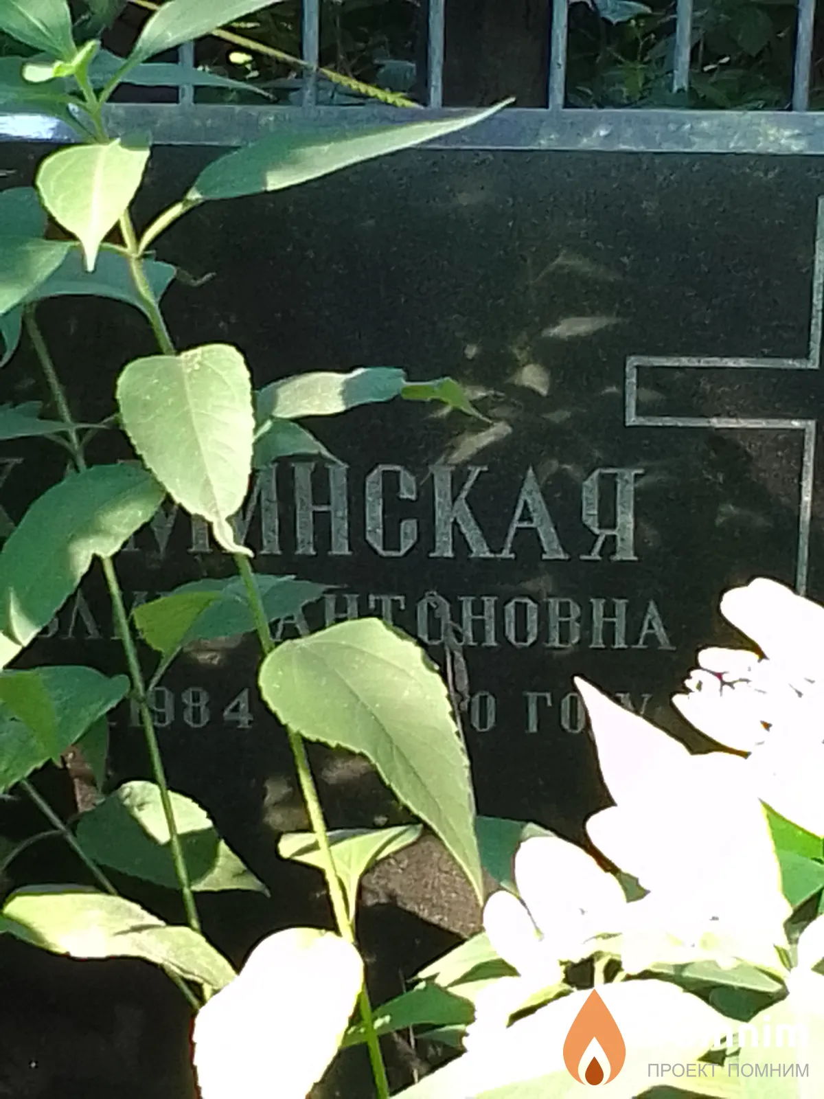 Каминская Павлина Антоновна