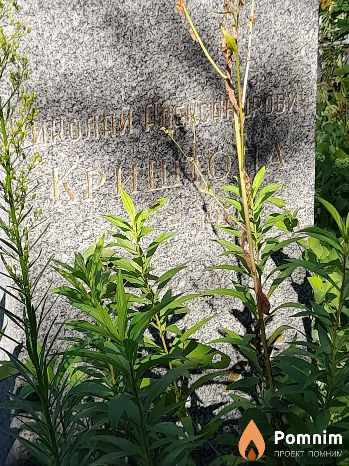 Криштопа Николай Александрович