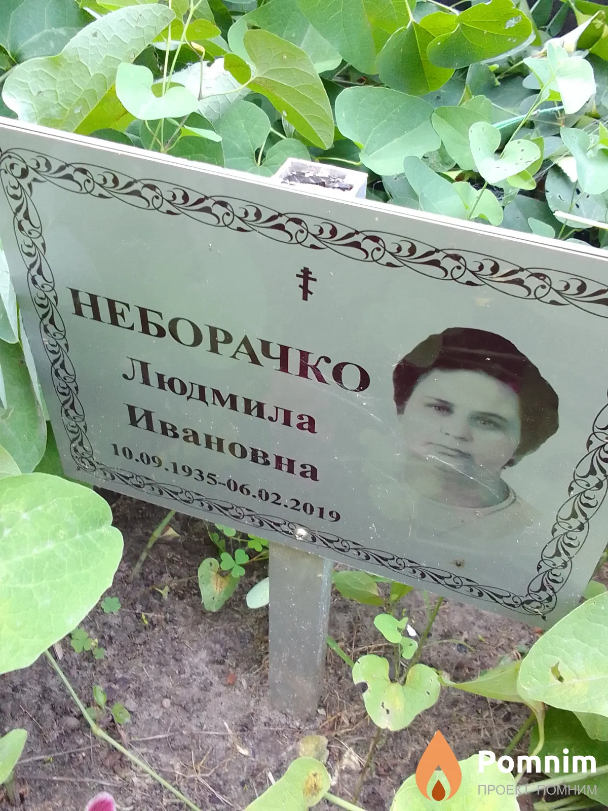 Неборачко Людмила Ивановна