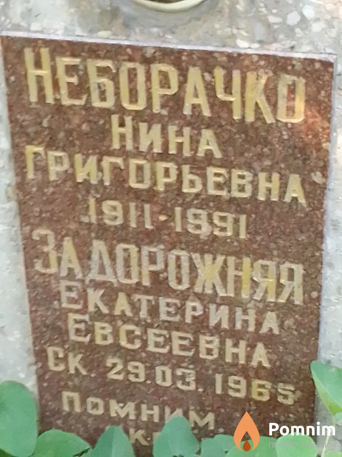 Неборачко Нина Григорьевна